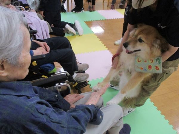 【2025.10　ドッグセラピーを実施しました】 ～介護居室サービス課～